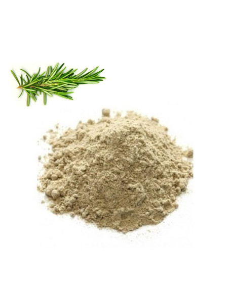 Romero molido en polvo